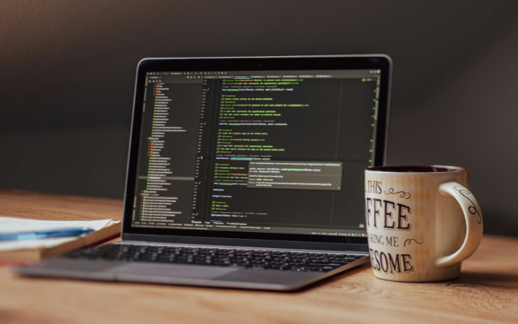 Website Design & Development